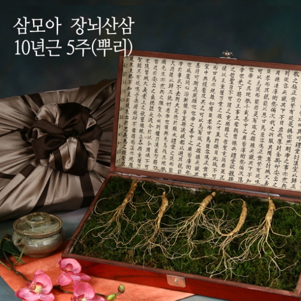 [삼모아] 산양산삼 10년근 3/5/7/10뿌리(프리미엄세트)/고가구목함+실크보자기