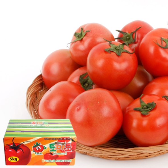  [농협공판장] 정성드린 완숙토마토 5kg(특1-2번과)