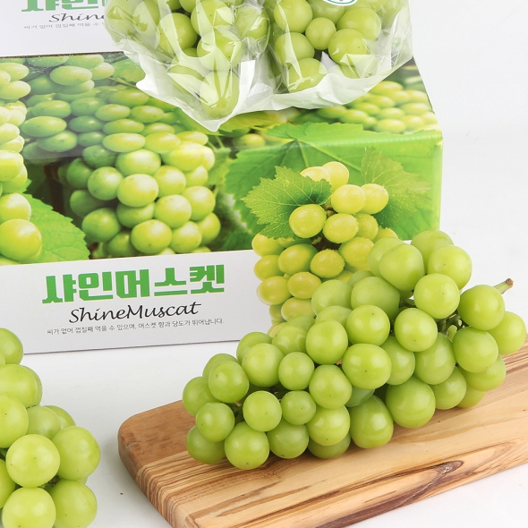 [명절브팜] 빛나는 샤인머스켓 고당도 2kg 선물세트 선물용