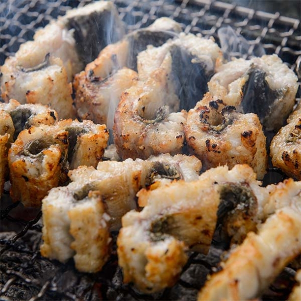 고창 풍천 장어 국내산