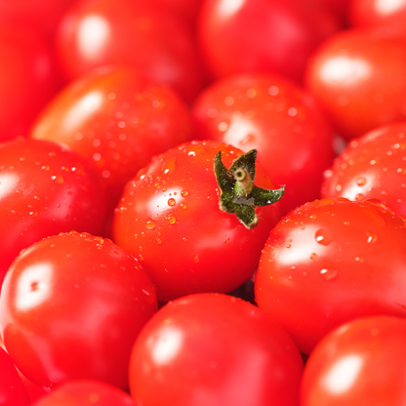 [만원의 행복] 샤인달콤 스테비아 방울토마토