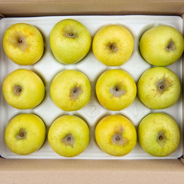 [신한카드 할인][클래식농원] GAP, 저탄소 괴산 시나노골드 3kg 11~13과(중)