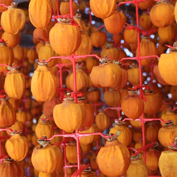 전통방식 그대로인 반건시 상주곶감(푸)