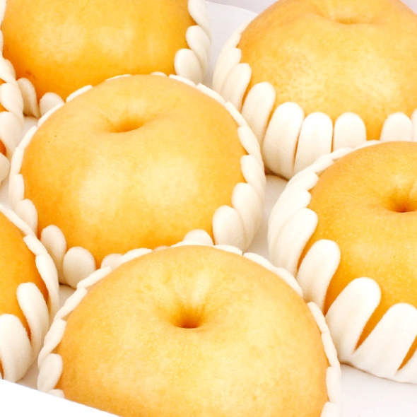 [2/3일부터 순차출고] [농협공판장] 정성드린 프리미엄 천안 배세트 7.5kg(특12과내/10과내)