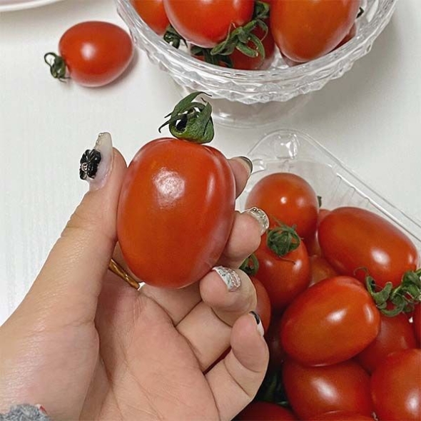 대추 방울토마토