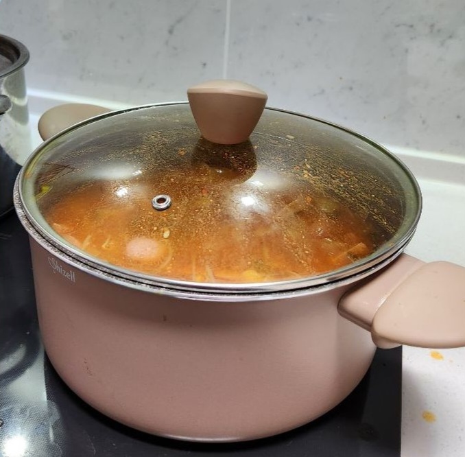 쉬젤 아티 패턴그라니 IH곰솥냄비 24cm