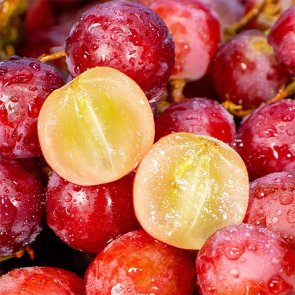 (제)체리크러쉬 &  파이어크런치