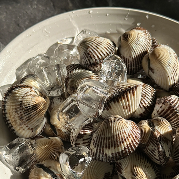 [보름데이] 남해 산지직송  새꼬막(푸)