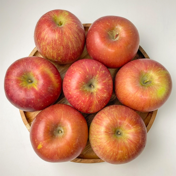 [만원의 행복] 25년 [부사  사과] 가을을 시작하는 과일  새콤달콤 사과 (1kg/3kg/5kg)