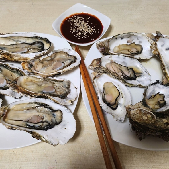 [보름데이] 신선함을 그대로 여수 석화(푸)