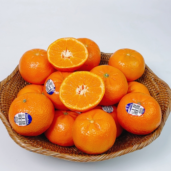 [오커최고] 수입 만다린 1kg 2kg