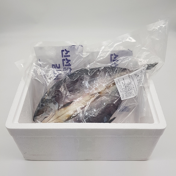 국내산 반건조 바다송어 대1미 400g내외 1개 