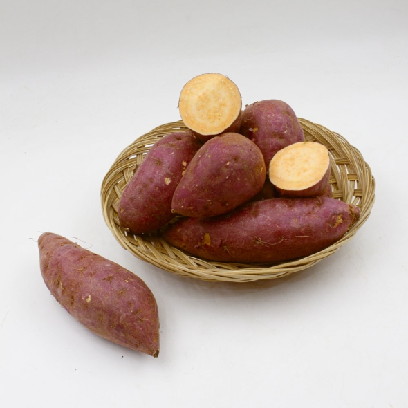 [대표산지 영암] 호풍미 고구마(비세척)