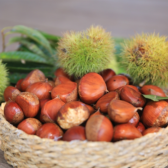 [만원의 행복] 제철 가장 맛있는 국내산  햇 밤