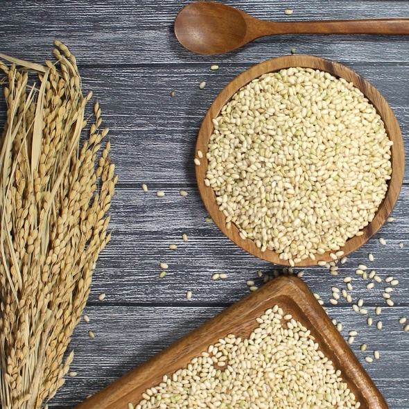 (25년산) 홍성농부의 찰현미 1kg 직접도정