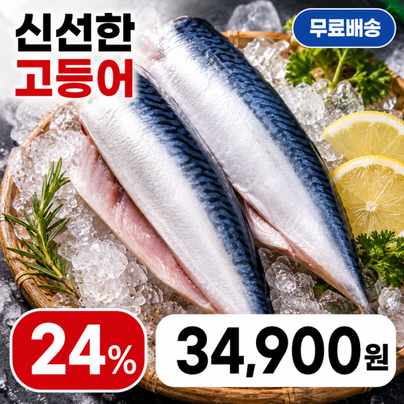 고등어