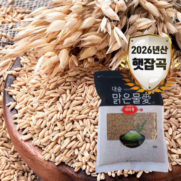 [대숲맑은물애] 26년산 영양곡물 알갱이 고소한맛 귀리쌀 1kg~5kg