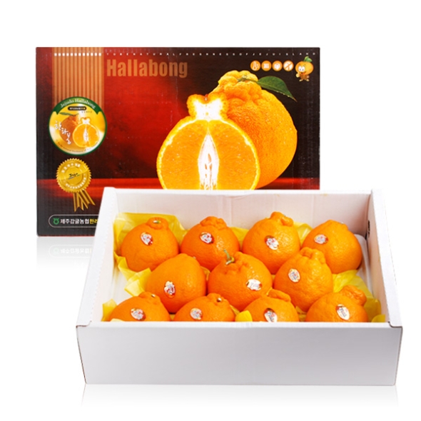 [농협공판장] 정성드린 한라봉세트 3kg(13과내)  1박스/2박스