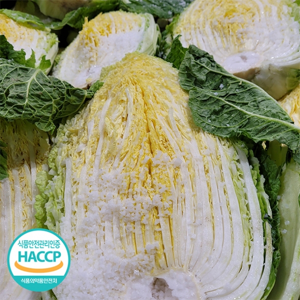 [신한카드 할인] 맛과 영양이 듬뿍인 프리미엄 배추김치(푸)