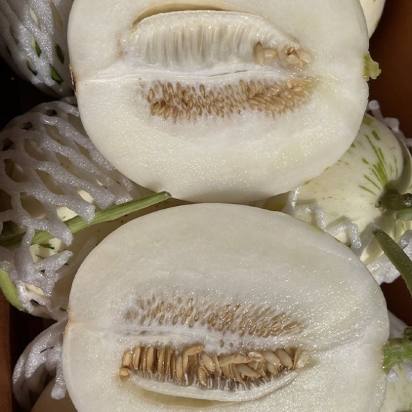 부드러운 과육  백자메론(푸)