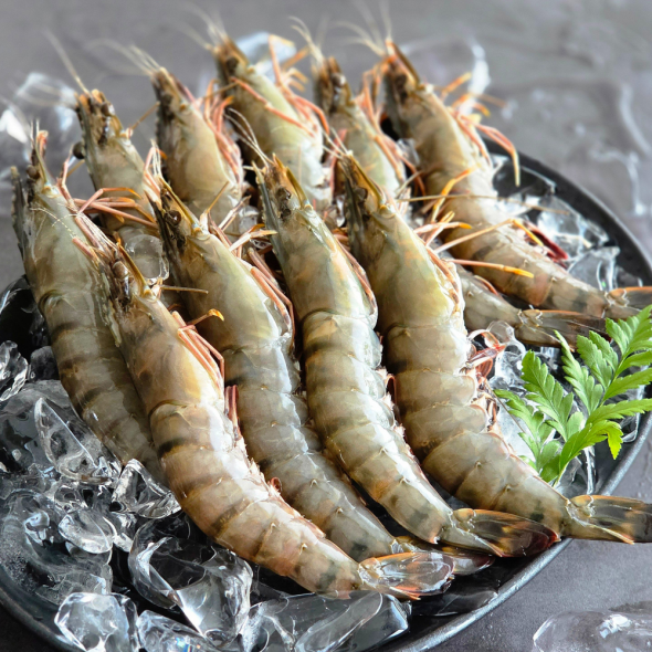 [11월제철!] 블랙타이거새우 대하 새우구이 새우장 500g 10미