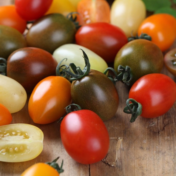 [GAP인증] 컬러 대추방울토마토 [1kg-5kg]