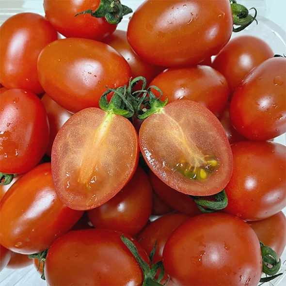 [토마캄스] 대추 방울 토마토 2kg 3kg 5kg 중대과 로열과 혼합
