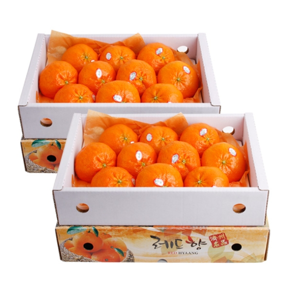 [농협공판장] 정성드린 레드향세트 3kg(13과내)  1박스/2박스