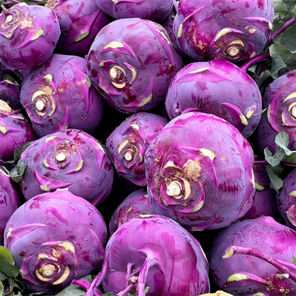 [신한카드 할인] 제주도 프리미엄 콜라비(푸)