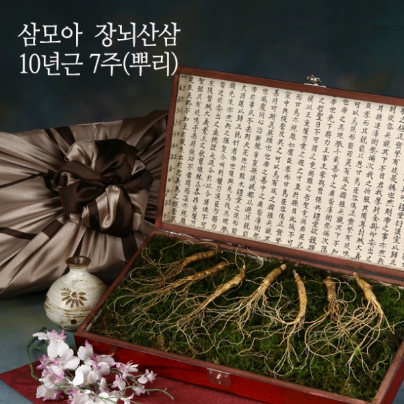 [삼모아] 산양산삼 10년근 3/5/7/10뿌리(프리미엄세트)/고가구목함+실크보자기