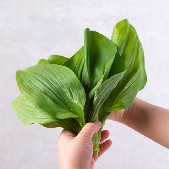 [보름데이] 활용도 높은  잎명이나물