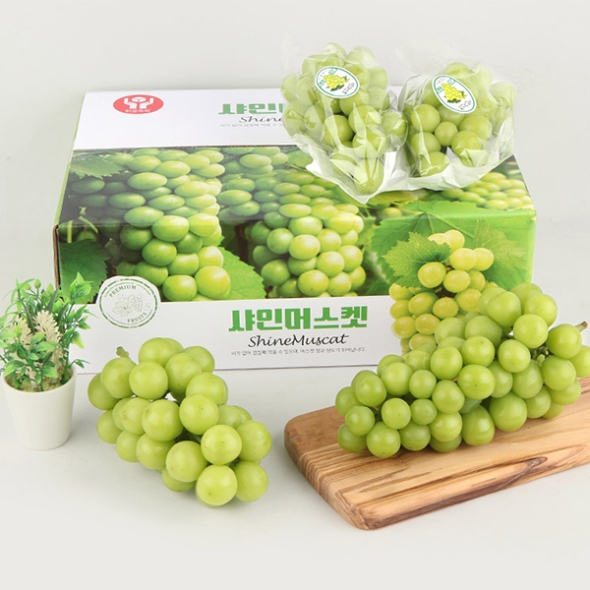 [명절브팜] 빛나는 샤인머스켓 고당도 2kg 선물세트 선물용