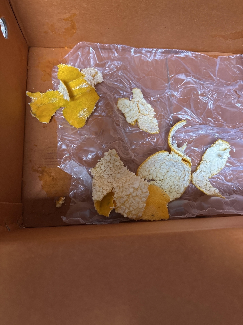 [보름데이] 제주 조생종 노지감귤 실중량 3kg 5kg 10kg