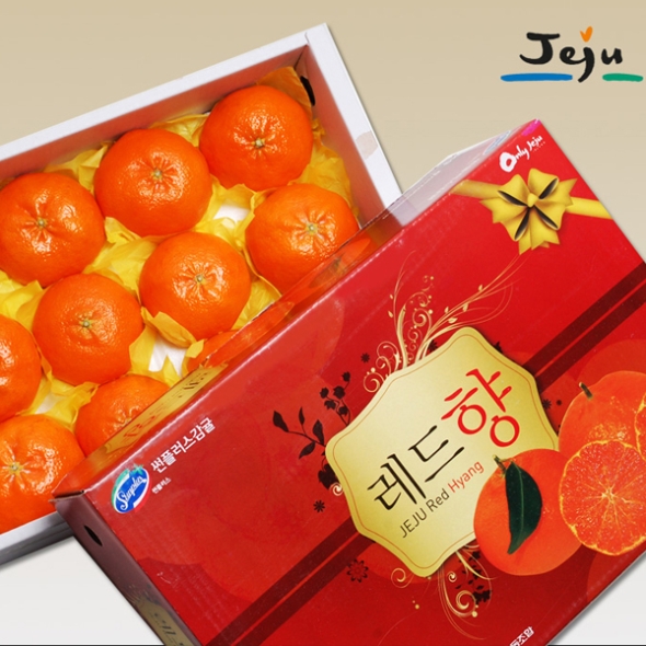 [푸토리] 품격이 다른 과일 자연애 레드향 3kg