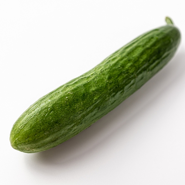 [만원의 행복] [한입최고] 대세 미니오이 500g 1kg 2kg 아삭한 오이