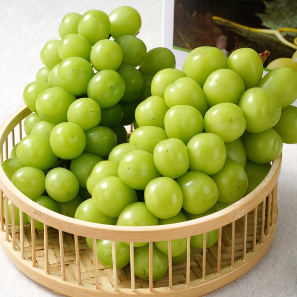 [만원의 행복] 아삭한  식감  국내산  샤인머스켓 (1kg/2kg)