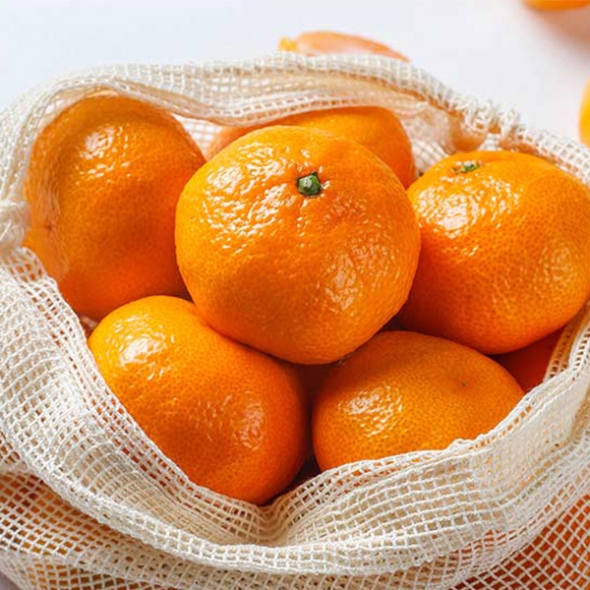 [주말특가] 제주 타이벡 감귤 2.5kg 4.5kg 과일 실중량