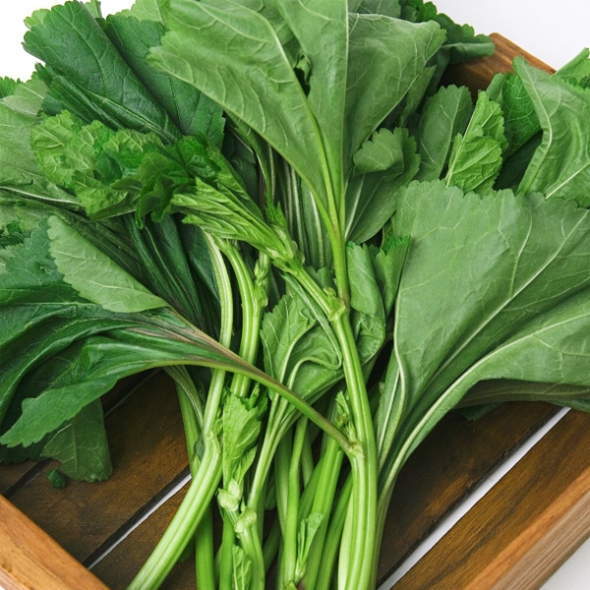 [농협] 한아름드린 제철미각 아욱 1kg/2kg/4kg(특)