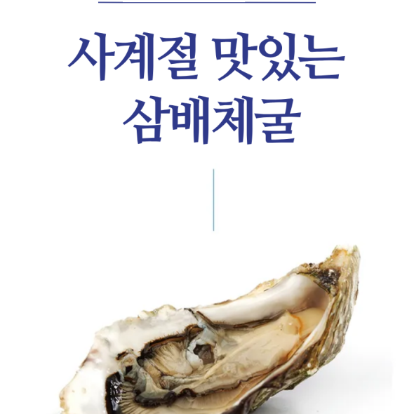 [만원의 행복] 홍지수산 고흥석화 삼배체굴 4-8개 1kg  프리미엄 수출굴