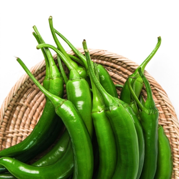 [농협] 한아름드린 신선 오이고추 1kg/2kg/4kg(특)