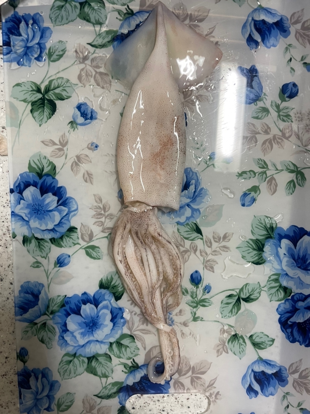 [水] 이순신수산 국내산 신진도 내장가득 통오징어 중 800g 대 1kg 조업당일 급속냉동