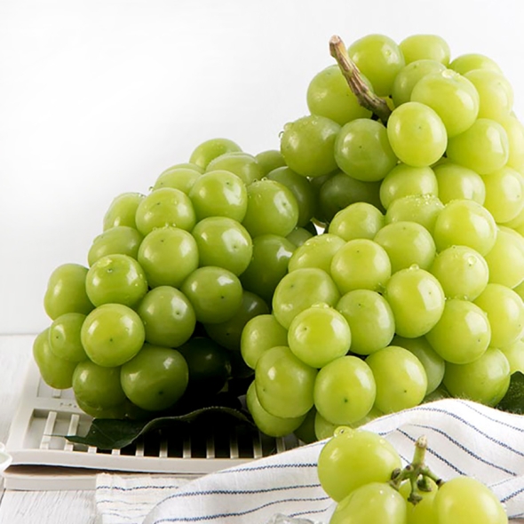 [만원의 행복] [푸토리] 아삭아삭 상큼한 영암 가정용 샤인머스캣 2kg(3-4수) 