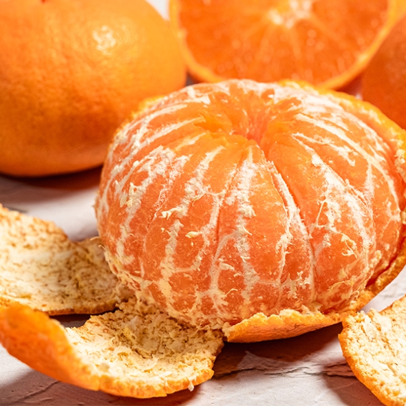 [오커마니] 제주 레드향 과즙 팡 하우스 레드향 일반포장