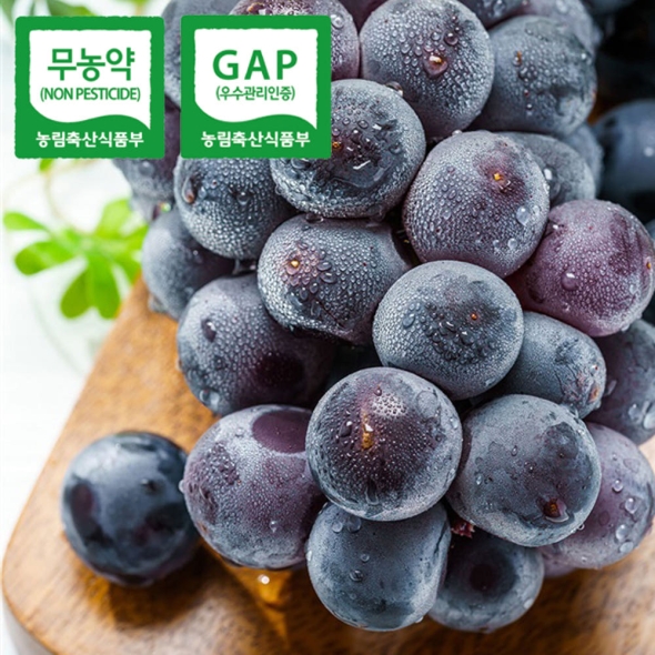 [형원농장] 국내산 무농약+GAP인증 친환경 블랙펄 씨없는 신품종 아삭한 포도 (1kg-2kg 택일)