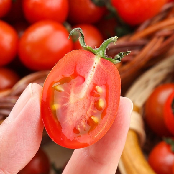 [자연속애] 충남부여 대추방울토마토 2kg/3kg/5kg(3-4번과)