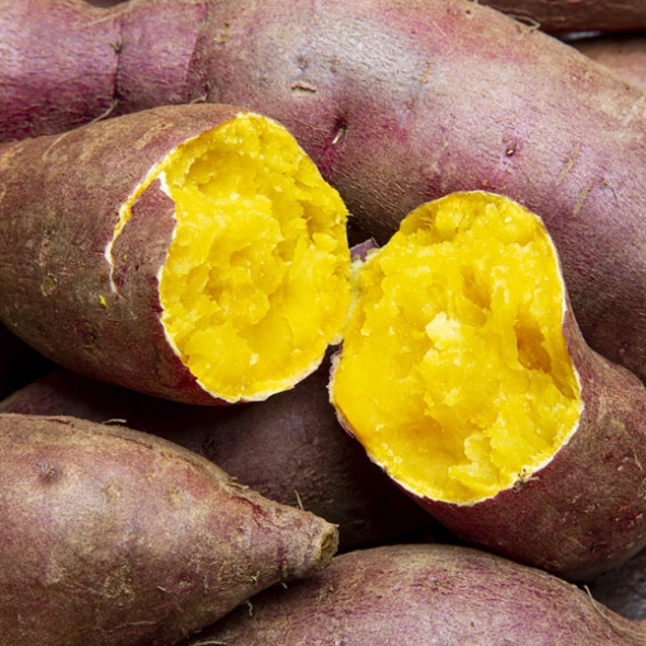 [해남 황토_세척] 베니하루카_꿀고구마 [3kg-10kg][한입/중/특상/대]