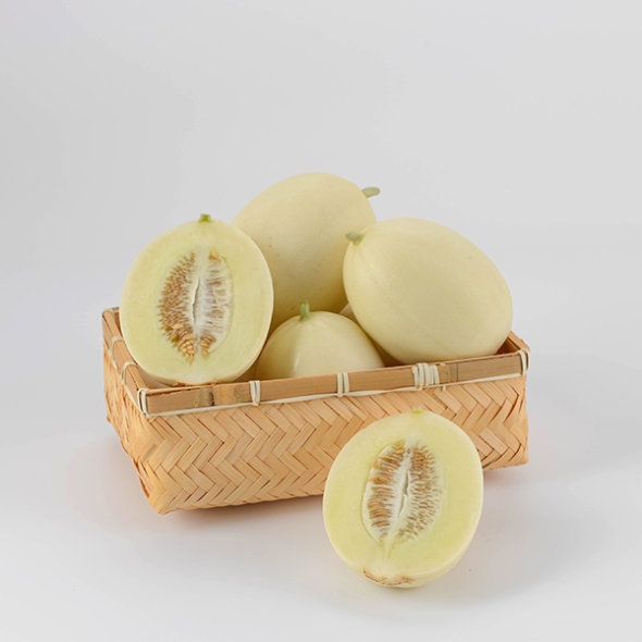 [오커최고] 설향 메론  신품종 멜론 1.5kg 3kg