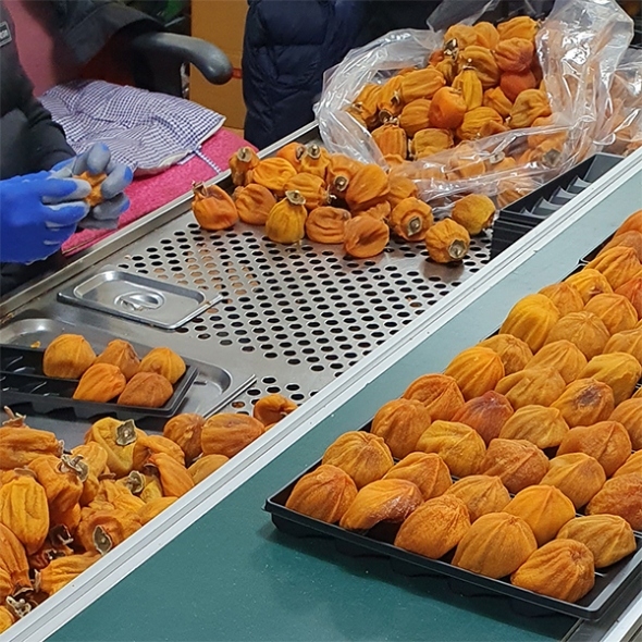 전통방식 그대로인 반건시 상주곶감(푸)