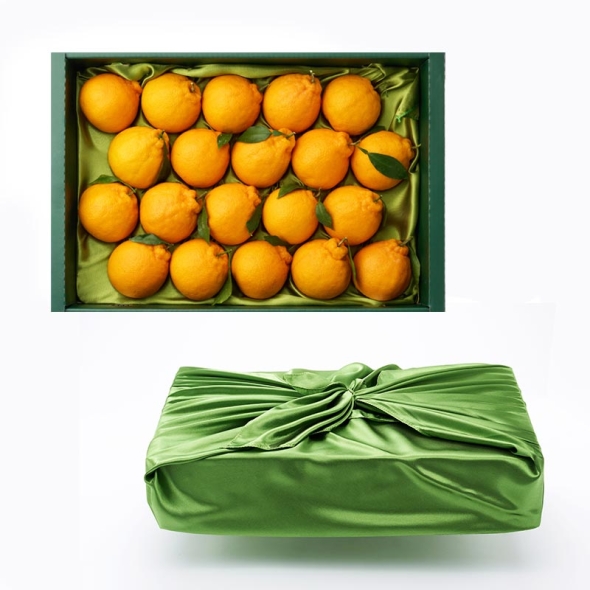 제주하우스 벨롱벨롱 제주 한라봉 선물세트 2.5kg (14과 내외)