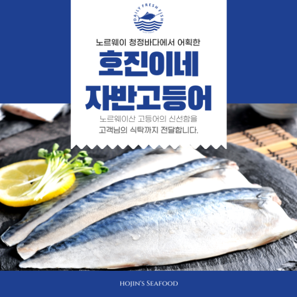 100% 수작업 손질 호진이네 노르웨이산 자반고등어 손질고등어  大 1손(2마리)~4손(8마리)